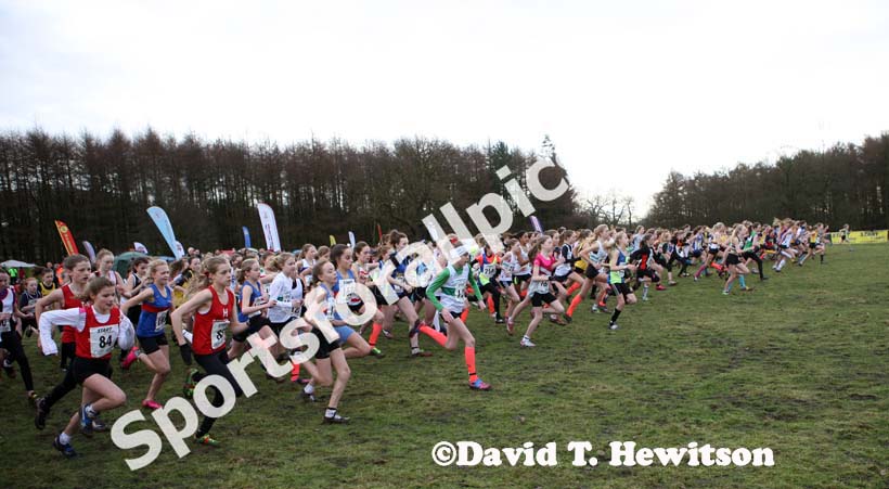 Start of the under-13 girls Northern Cross Country Champs, Knowsley Safari Park. Photo: David T. Hewitson/Sports for All Pics